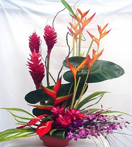 Hawaiian Flowers for Honolulu Delivery Oahu Florist Selections