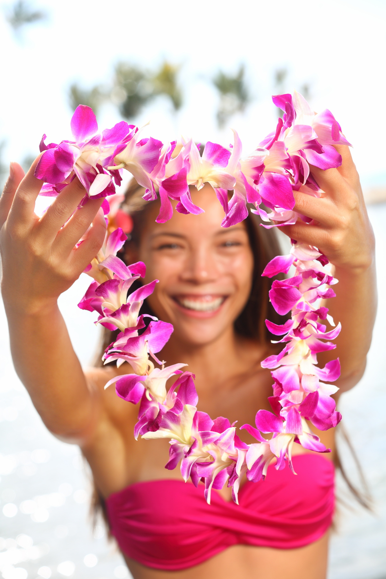 Hawaii Flowers Lei Necklace Made Orchid Flower Photos and Images |  Shutterstock