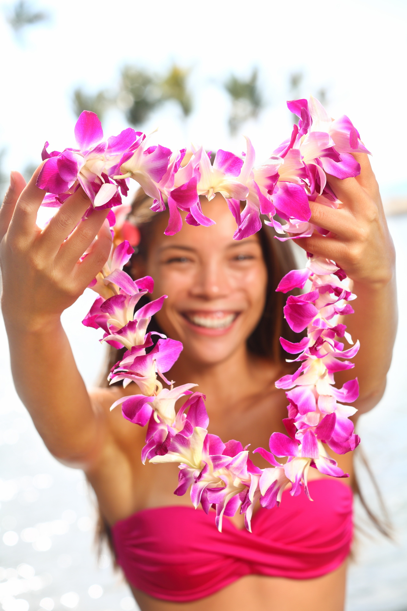 Lei Flowers What Is Used To Create A Traditional Hawaiian Lei With 